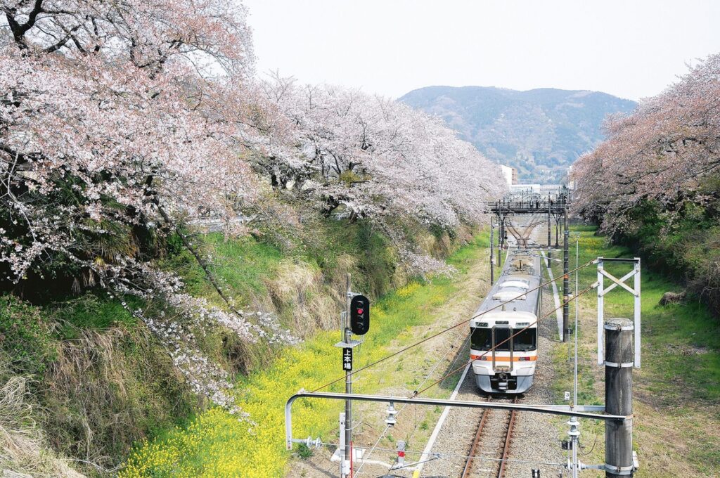 山北町イメージ写真